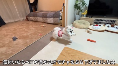 おもちゃをぶら下げるペコちゃん6