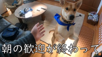 朝、お父さんが起きたら大歓迎！