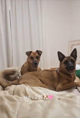 モアちゃん＆ララちゃん