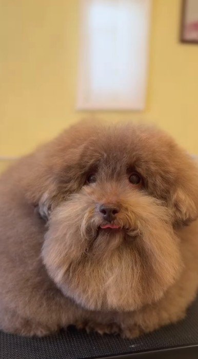 ヒゲはこの通り♡