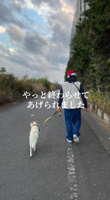保護スタッフと散歩する犬