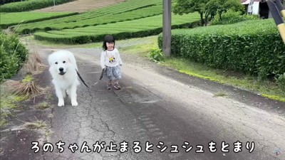 その場で立ち止まります