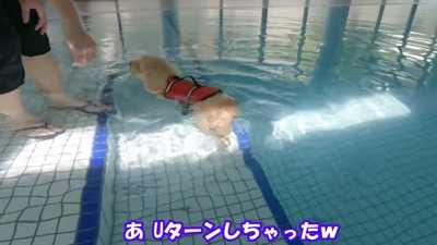 「怖いよ～っ」とUターン