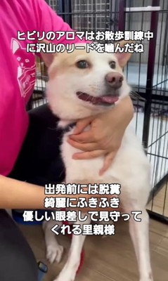 幸せを掴んだいっちゃん＆アロマちゃん6