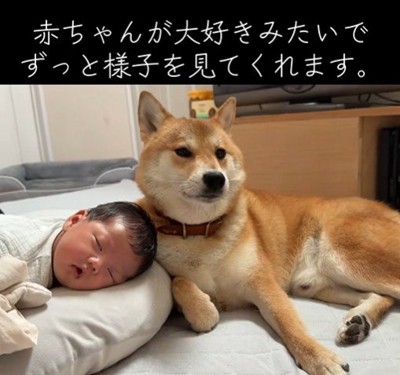 優しく寄り添ってくれるむぎくん