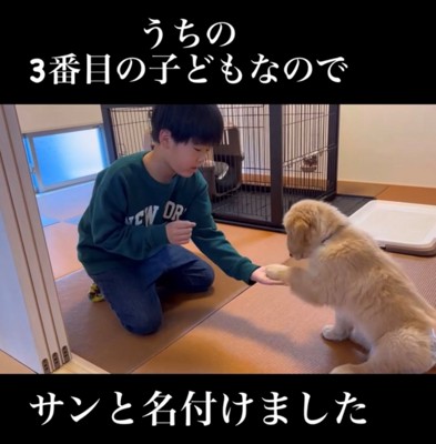 お兄ちゃんとおての練習をする犬