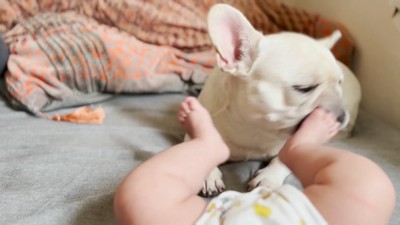顔面をキックされても…