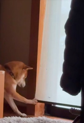 リクくんにハプニング発生8