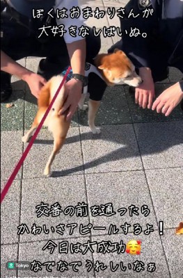 2人の間をウロウロ