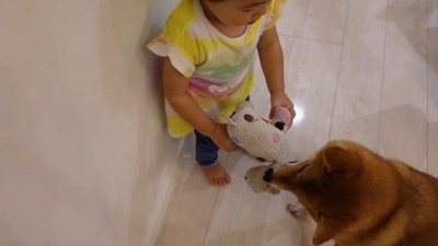 おもちゃを渡すと…