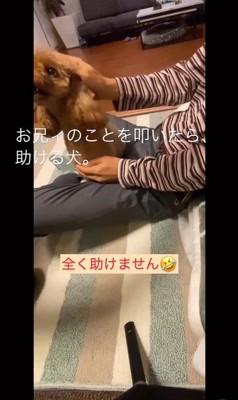 家族を叩くフリをした時のカブ子ちゃん⑩