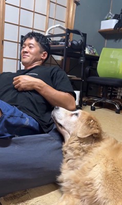 きんちゃんと飼い主さんのやり取り3