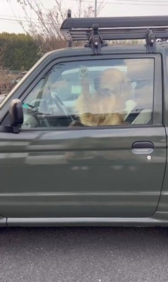 寂しがり屋すぎるトノくん7