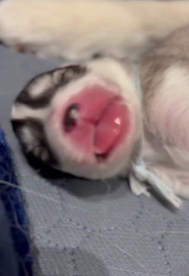 困惑してしまったのが…