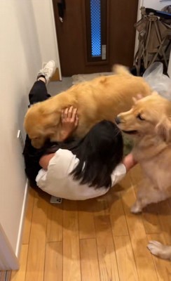 ちあちゃん&ひまわりちゃんの熱烈歓迎3