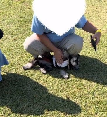 撫でられる陽菜ちゃん