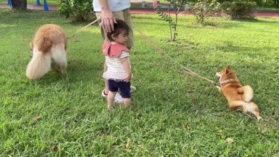 最後はぐるりとお散歩