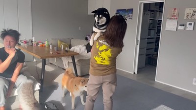 友達の小春ちゃんが来訪