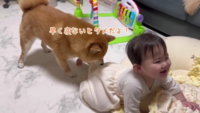 「ちゃんと寝ようね」