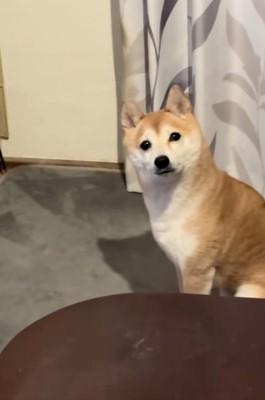 「ストーブ、つけよ…？」