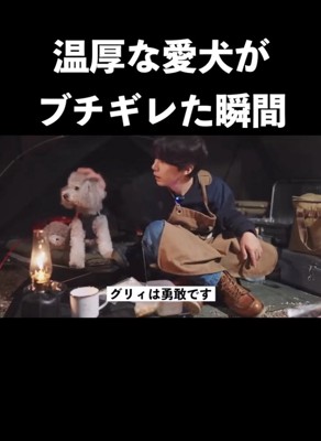 警戒を緩めないグリィくん