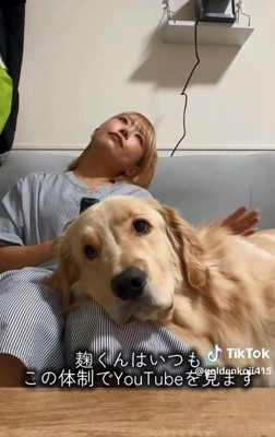 膝枕される麹くん