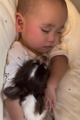 腕の中にスッポリ