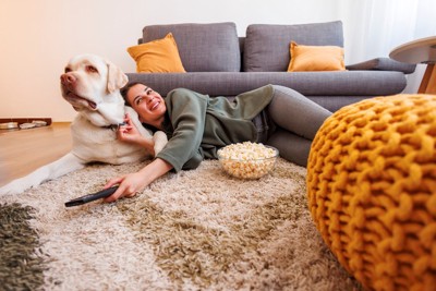 TVを視聴する飼い主に寄っかかられて迷惑そうな大型犬