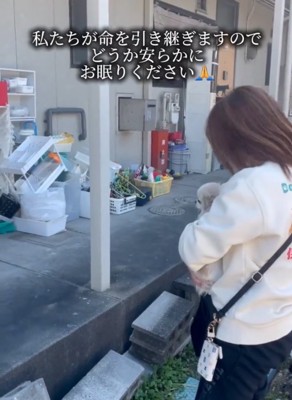 家に挨拶する女性と犬