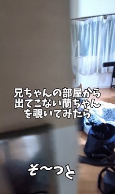 お兄ちゃんの部屋から出てこない蘭ちゃん
