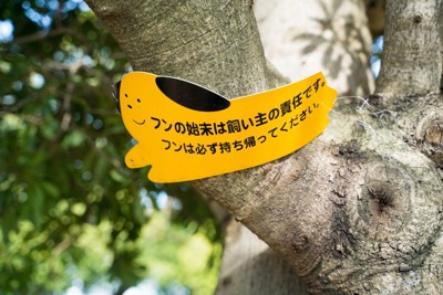 犬の散歩マナーに関する注意喚起
