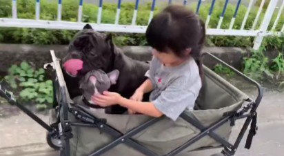 生まれたときから一緒