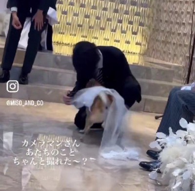 カメラマンにも丁寧に挨拶