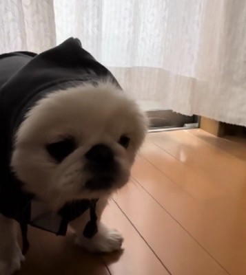 固まっちゃう！！