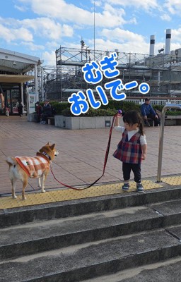 むぎちゃんとまーちゃん