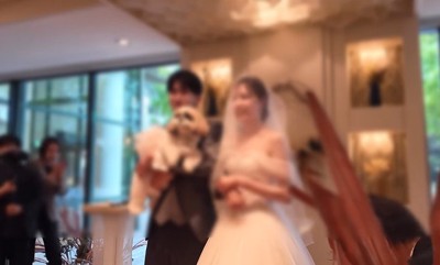 リングドッグに挑戦するつぶちゃん⑩