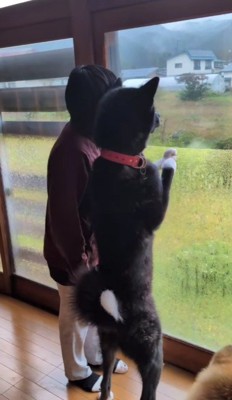 え…どういうこと?