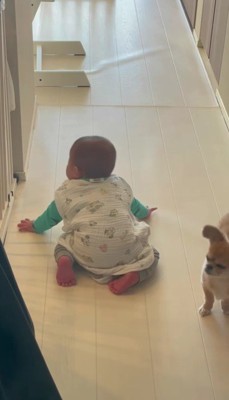 「やってみて」