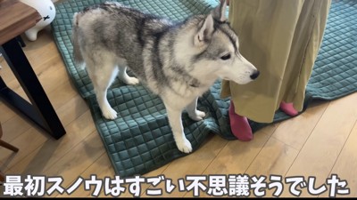 不思議そうな表情