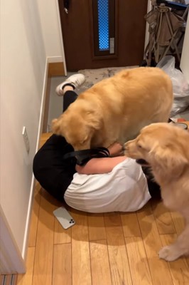 再び戻ってきた