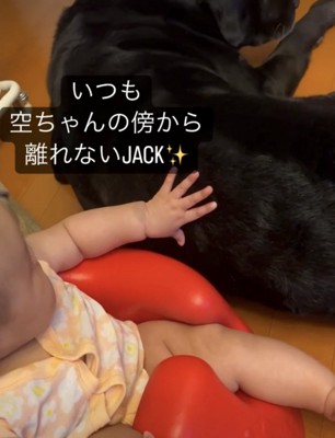 座って犬を撫でる子ども