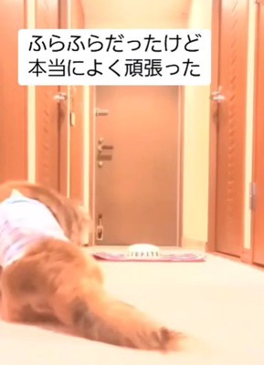 励まし合いながら頑張った