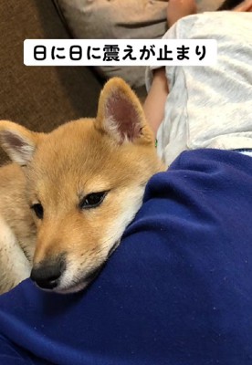 病状は日に日に改善