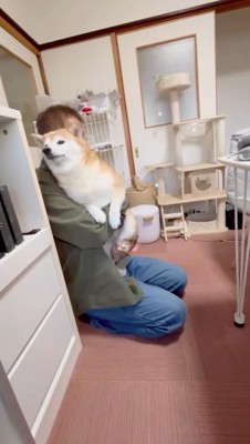 男性に抱き上げられて静かになる犬