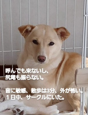無表情で怖がりだった…