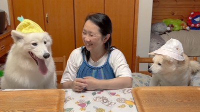 愛に溢れた光景