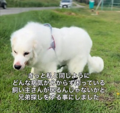 歩行障害