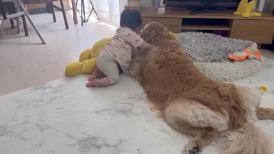 おからちゃんがくつろいでいると…