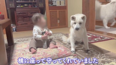 しっかり見守っていた