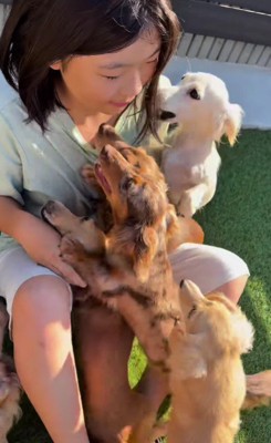 娘さんのことが大好き